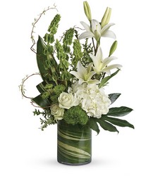 Botanical Beauty Bouquet from Arjuna Florist in Brockport, NY